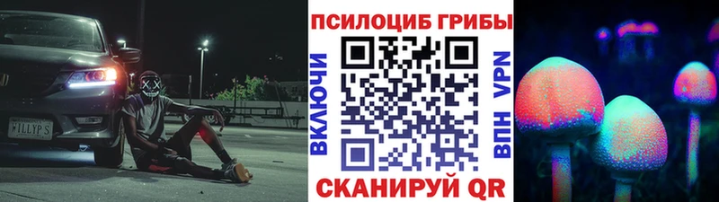 площадка наркотические препараты  Новотитаровская  Псилоцибиновые грибы прущие грибы 